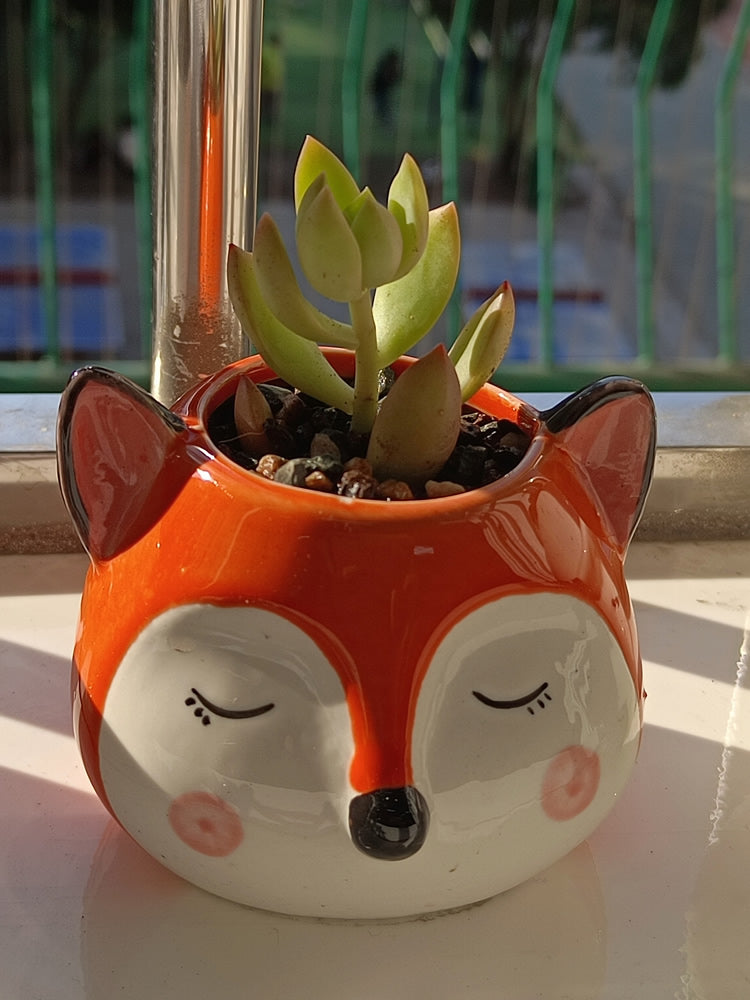 fox plant pot Cute Fox Ceramic Small Flower Pot, Plant Decorative Small Pot