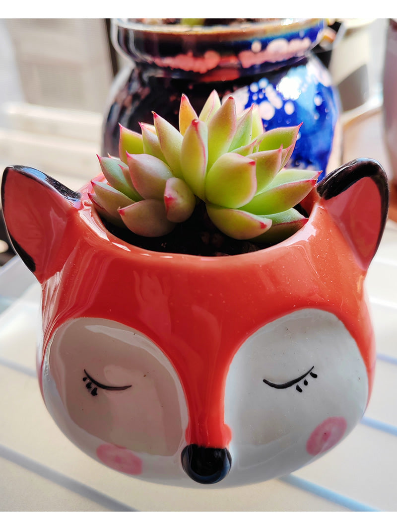 fox succulent planter Cute Fox Ceramic Small Flower Pot, Plant Decorative Small Pot