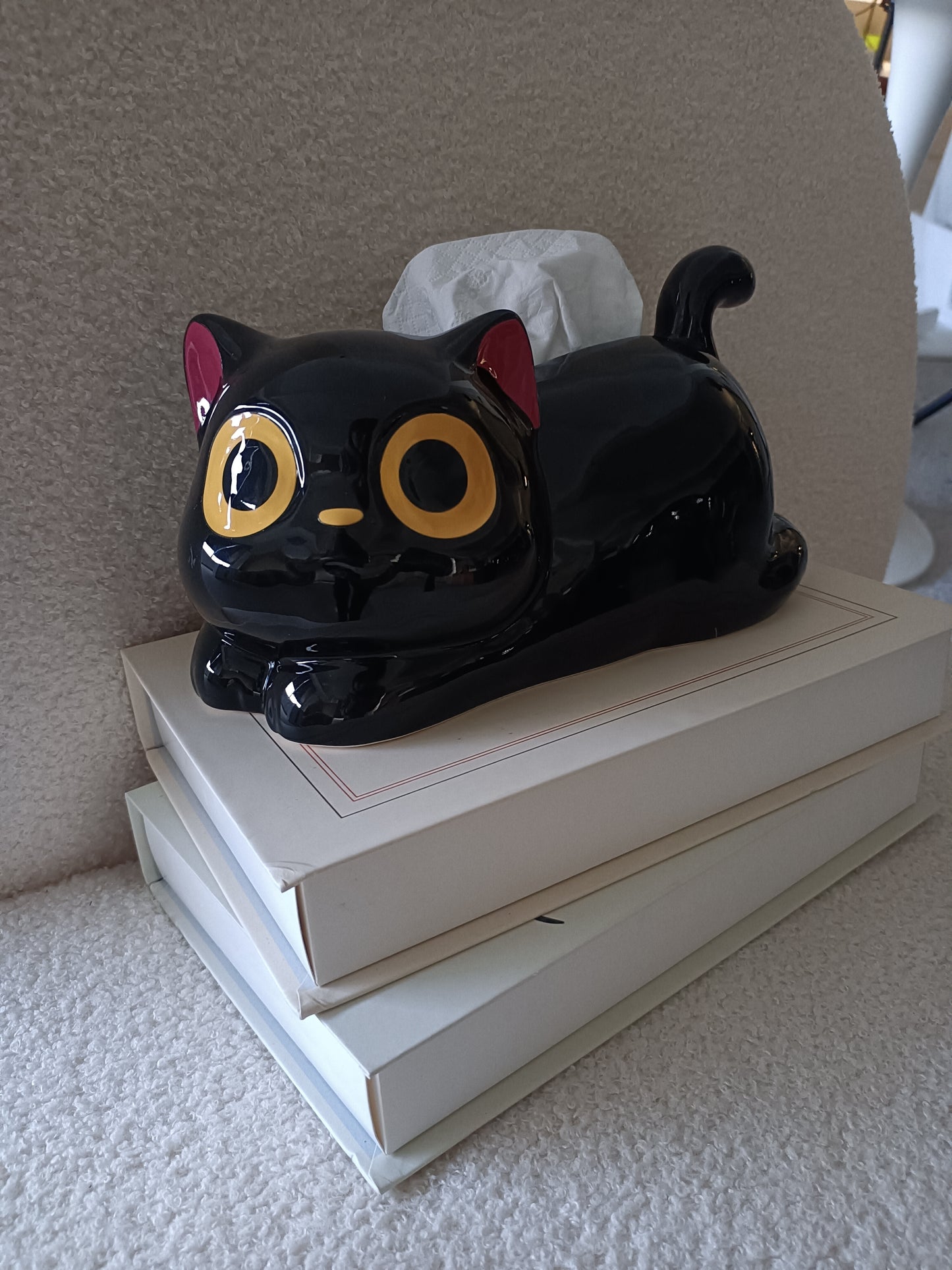 Funny Black Lying CatTissue Box - Creative Home Decorating Ideas