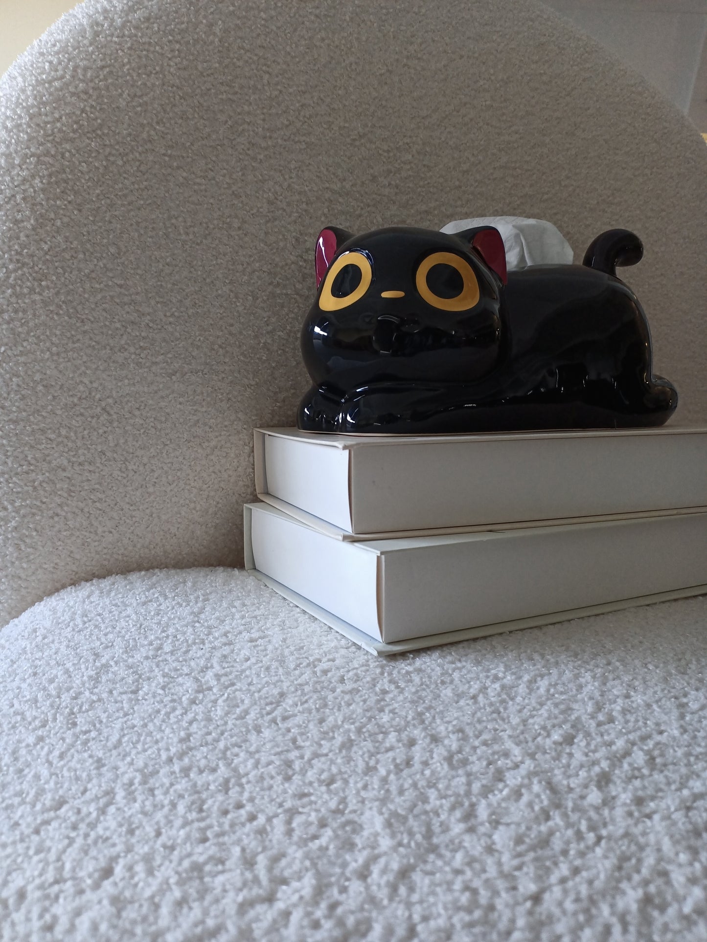 Funny Black Lying CatTissue Box - Creative Home Decorating Ideas
